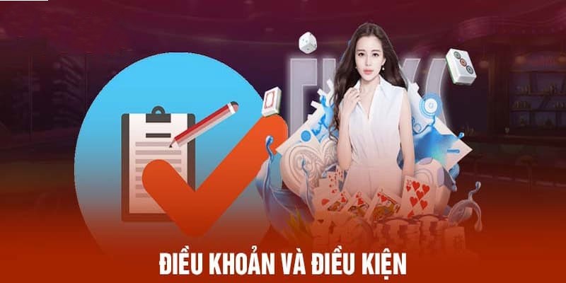 Vai trò quan trọng của điều khoản và điều kiện